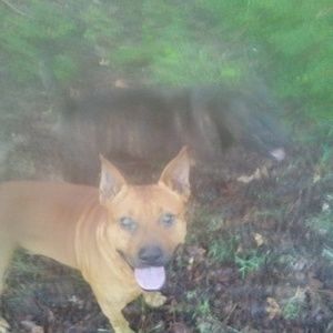 Meet your Posher, Kenny